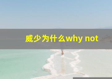 威少为什么why not